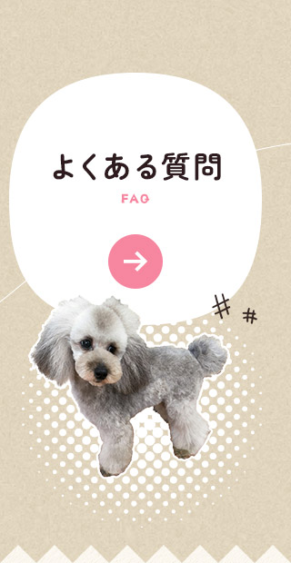 sp_bnrhalf_faq