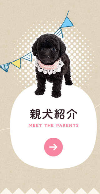 sp_bnrhalf_parents